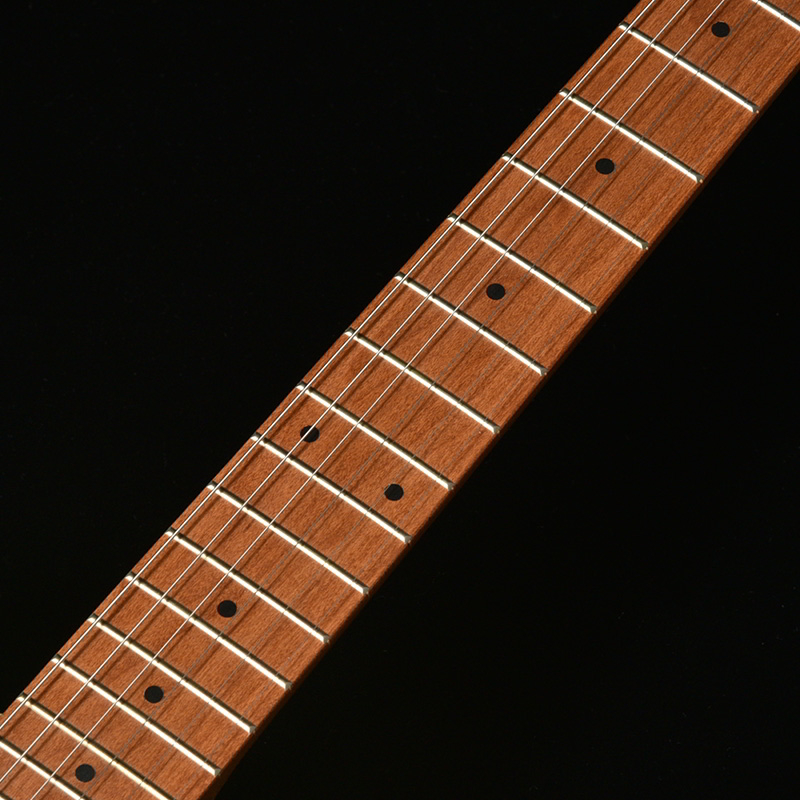 Bacchus UNIVERSEシリーズ テレキャスタータイプTAC24 STD-RSM/M M-SFG