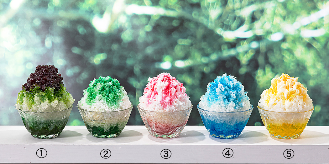 食品サンプル (かき氷5種) 宇治金時他 / マイハウスレンタル 撮影
