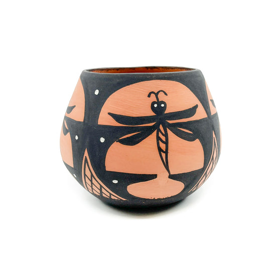 Zuni Dragonfly Pot Hand Painted by Darla Westika – Native-Seeds-Search