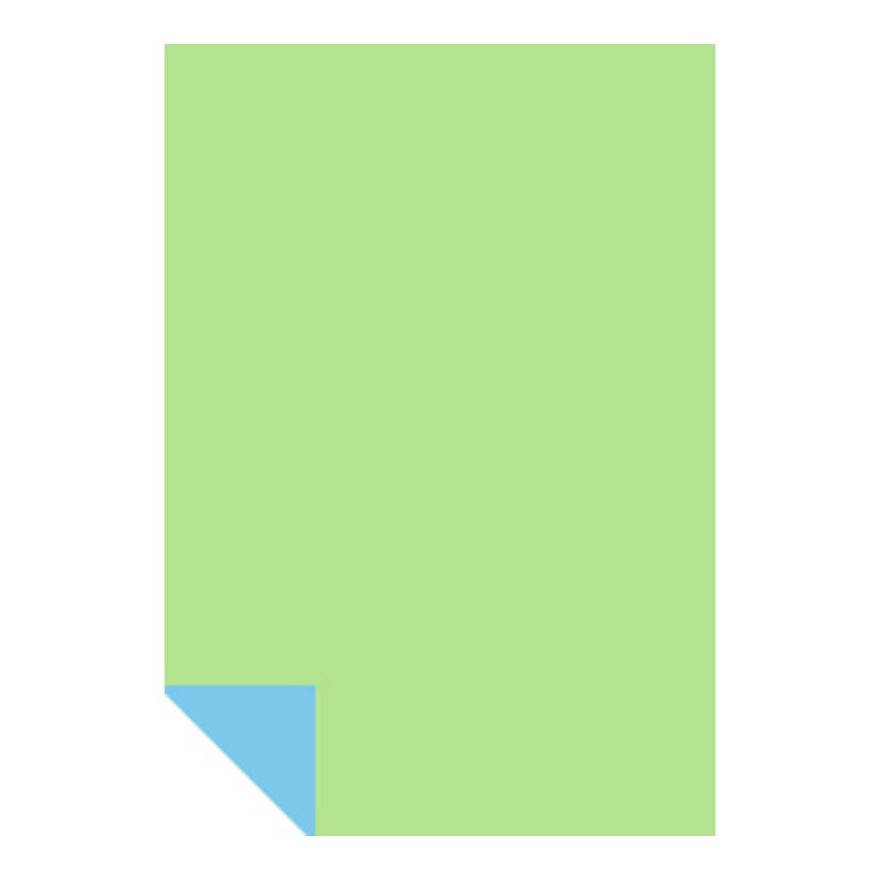 ニューカラー Wクラフト 8切 わかくさ & みずいろ | 日本ノート株式会社