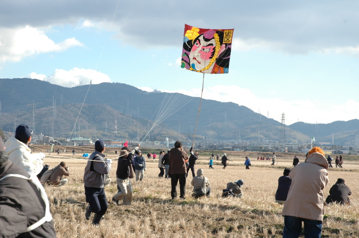 こうた凧揚げまつり | 愛知県西三河エリアの公式観光サイト 西三河