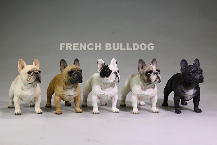 フィギュア専門店 -ソダチトイズ / Mr.Z 1/6 フレンチ・ブルドッグ