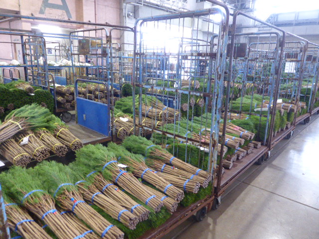 松市」R7.12.3(水)