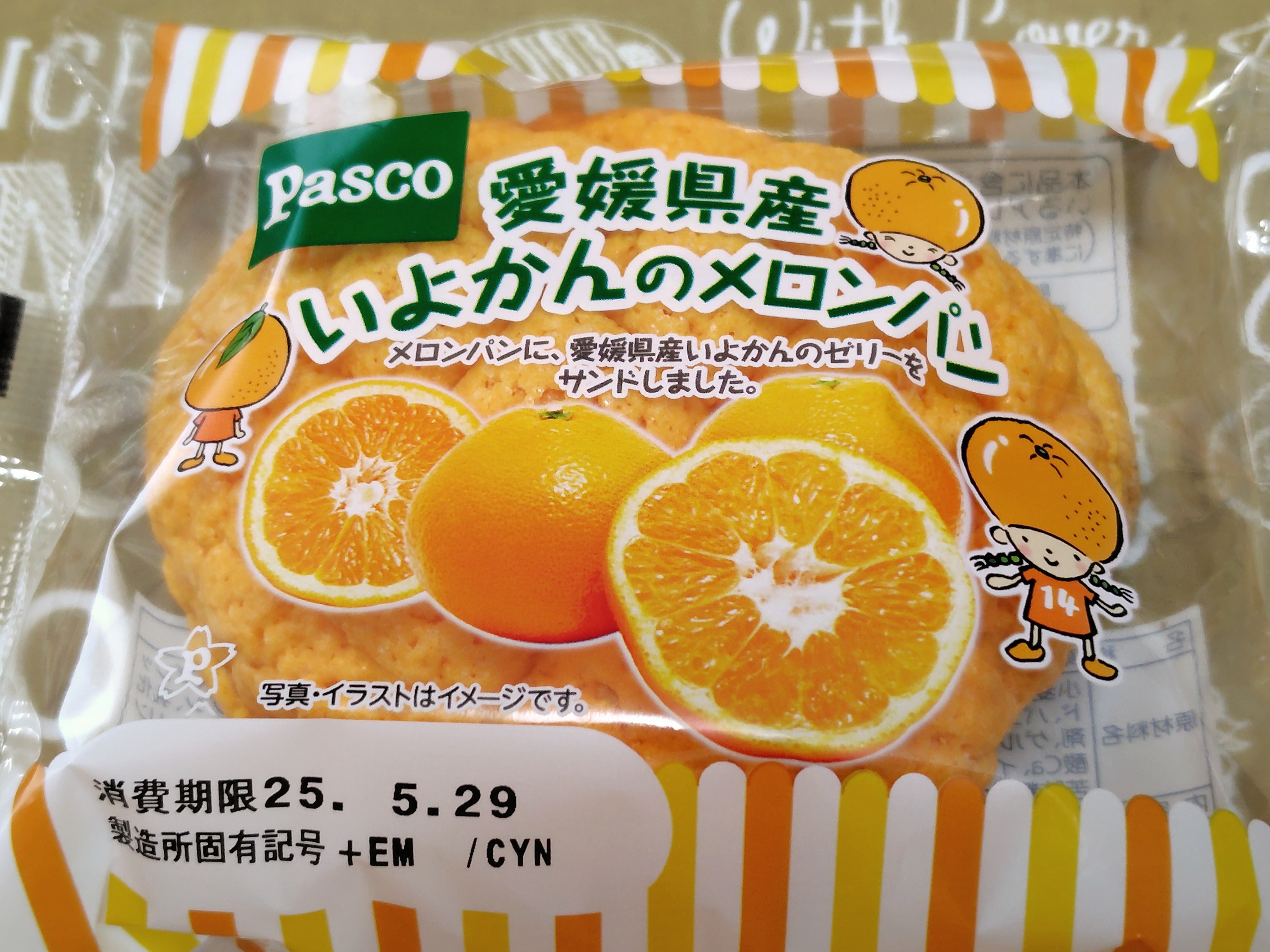 せしるさん・オレンジの甲羅？・愛媛県産いよかんのメロンパン