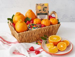 Citrus Supply Club Six-pack All Oranges