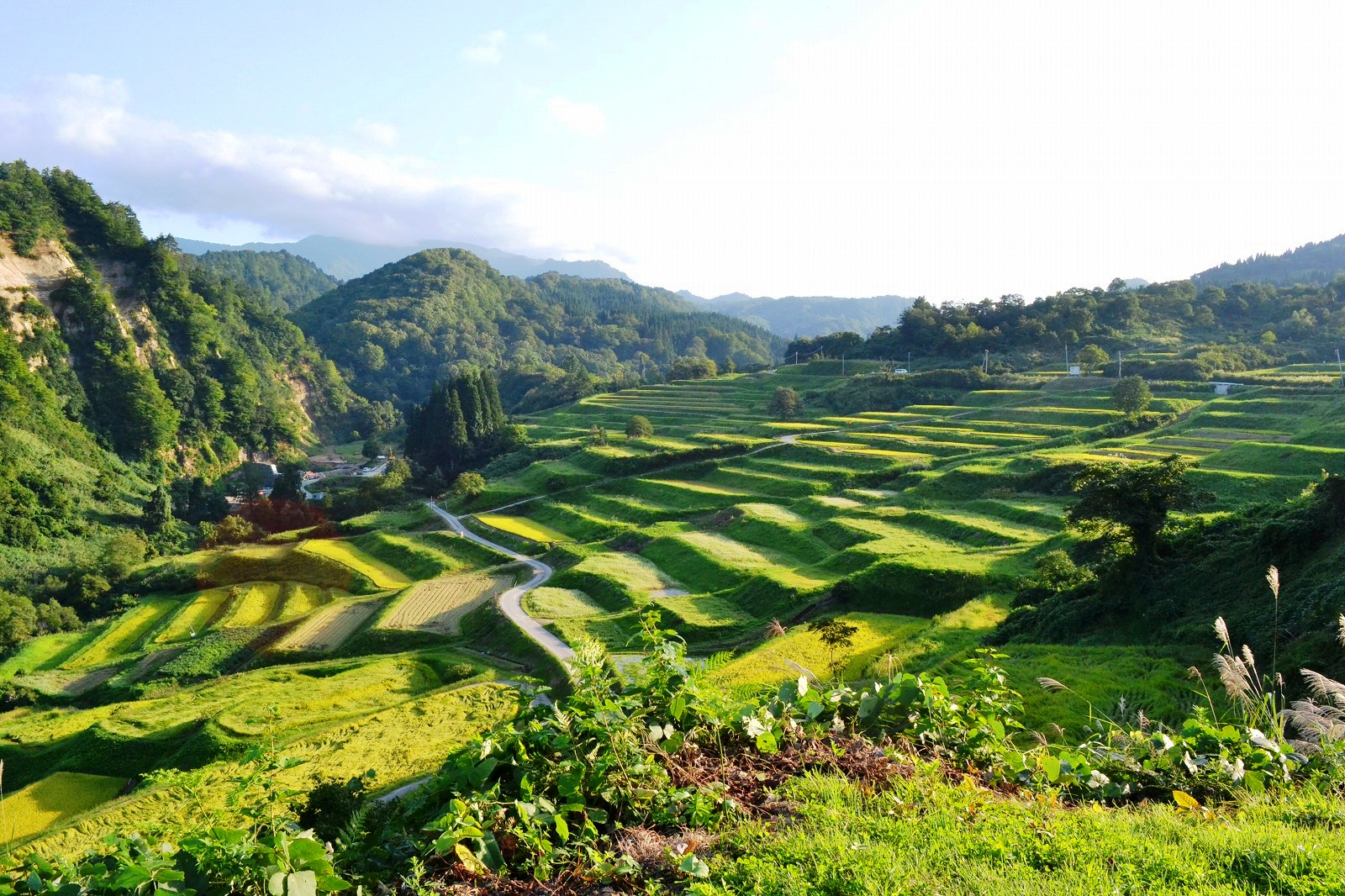 やまがたの棚田カード | 山形県