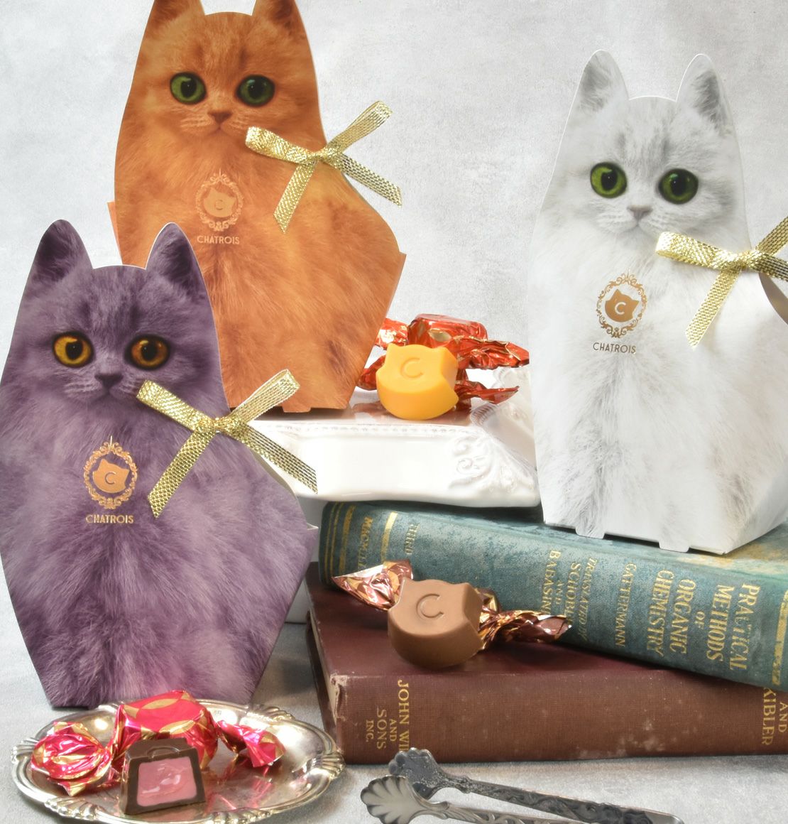 シャトロワの子猫たち｜シャトロワ（CHATROIS）楽天店｜こねこの洋菓子店