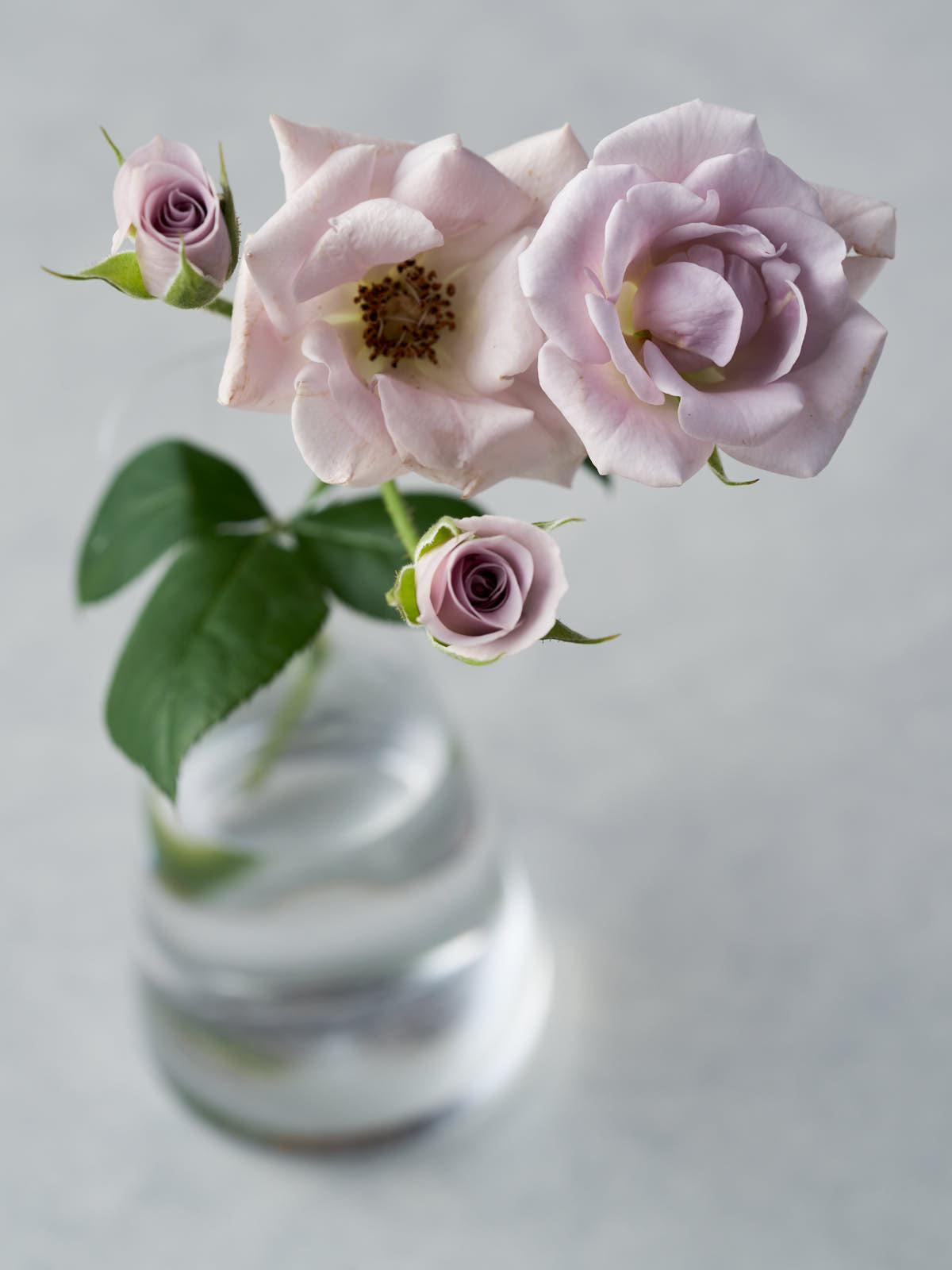 0998_4472x.jpg?v=1755833625