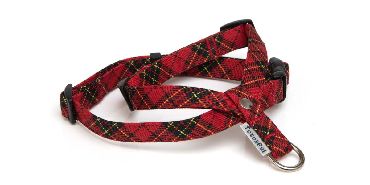 HARNESS（ハーネス）／ロイヤルタータンチェック首入れ：Toto & Pal