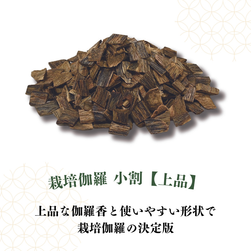 栽培伽羅・沈香【数量限定】