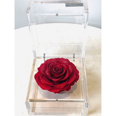 Rose Gallery（ローズギャラリー） | フラワー | リビング・ホビー