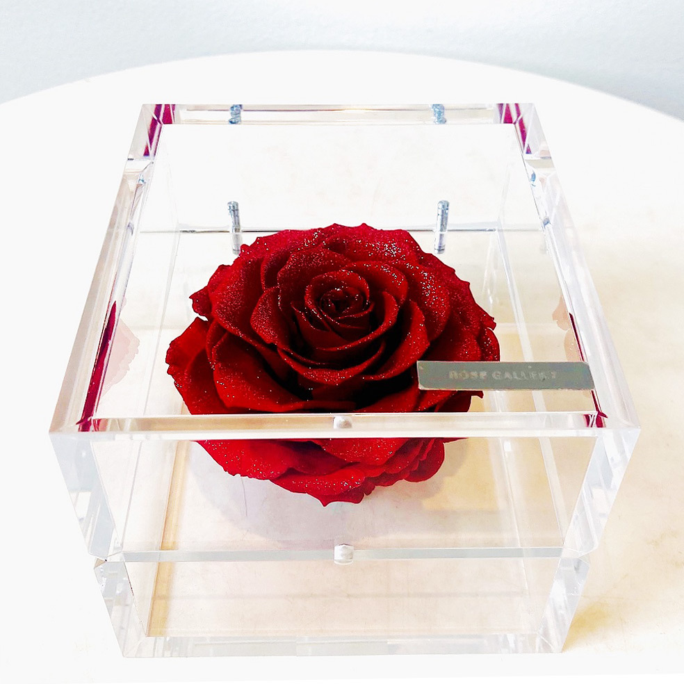 プリザーブドフラワー ダイヤモンドローズ （ミュゼL） 超大輪1輪