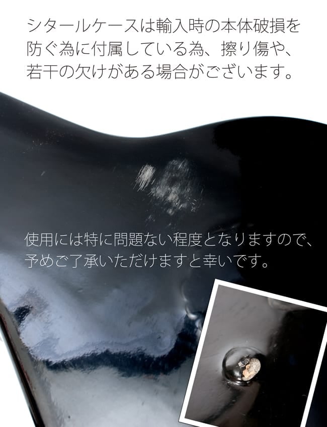 Kartar Music House社製】シタールセット（グラスファイバーケース