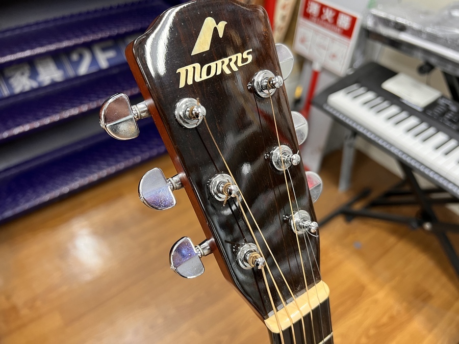 MORRIS】アコースティックギターM1002買取入荷しました！｜2022年05月
