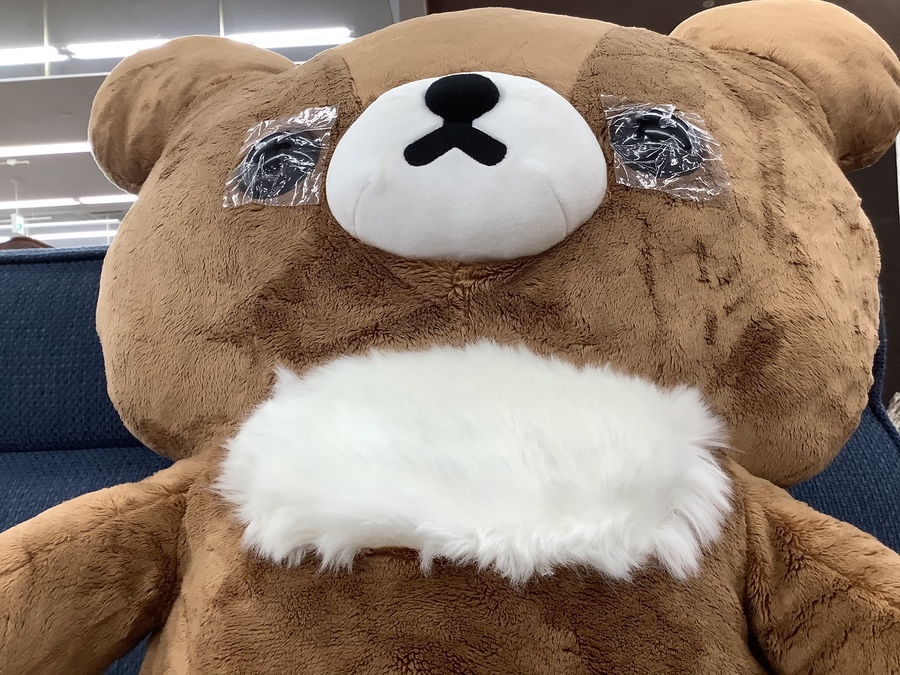 特大チャイロイコグマぬいぐるみ 入荷しました！【所沢店】｜2021年07
