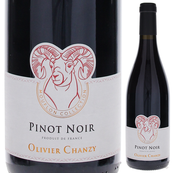 トスカニー イタリアワイン専門店 / VDF ピノ ノワール 2022