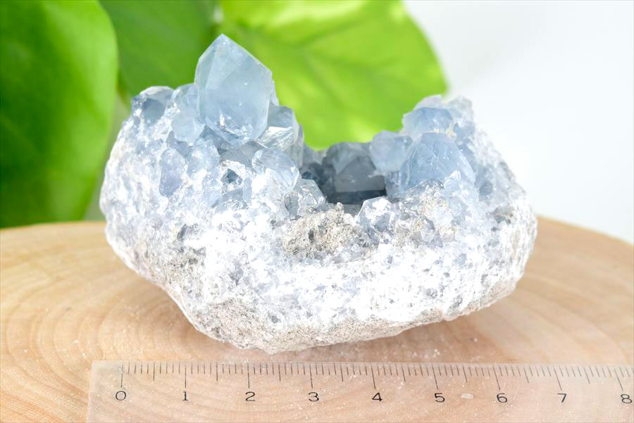 マダガスカル産 セレスタイト クラスター 原石｜天青石｜浄化