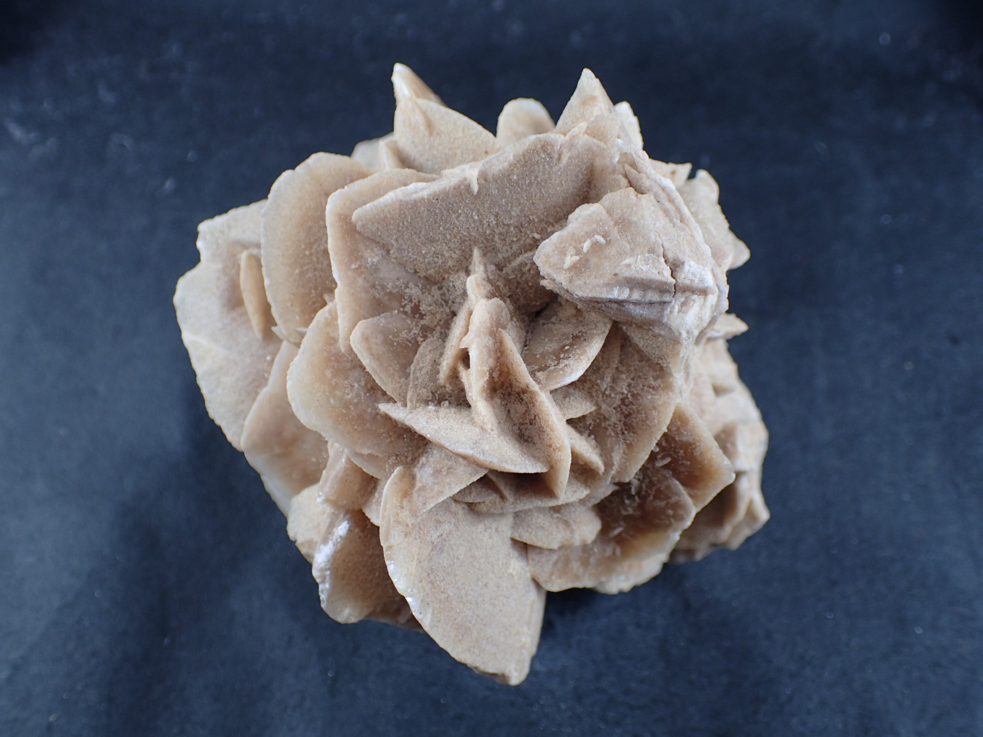 砂漠の薔薇（デザートローズ） ｜石の販売専門店【vec stone club】