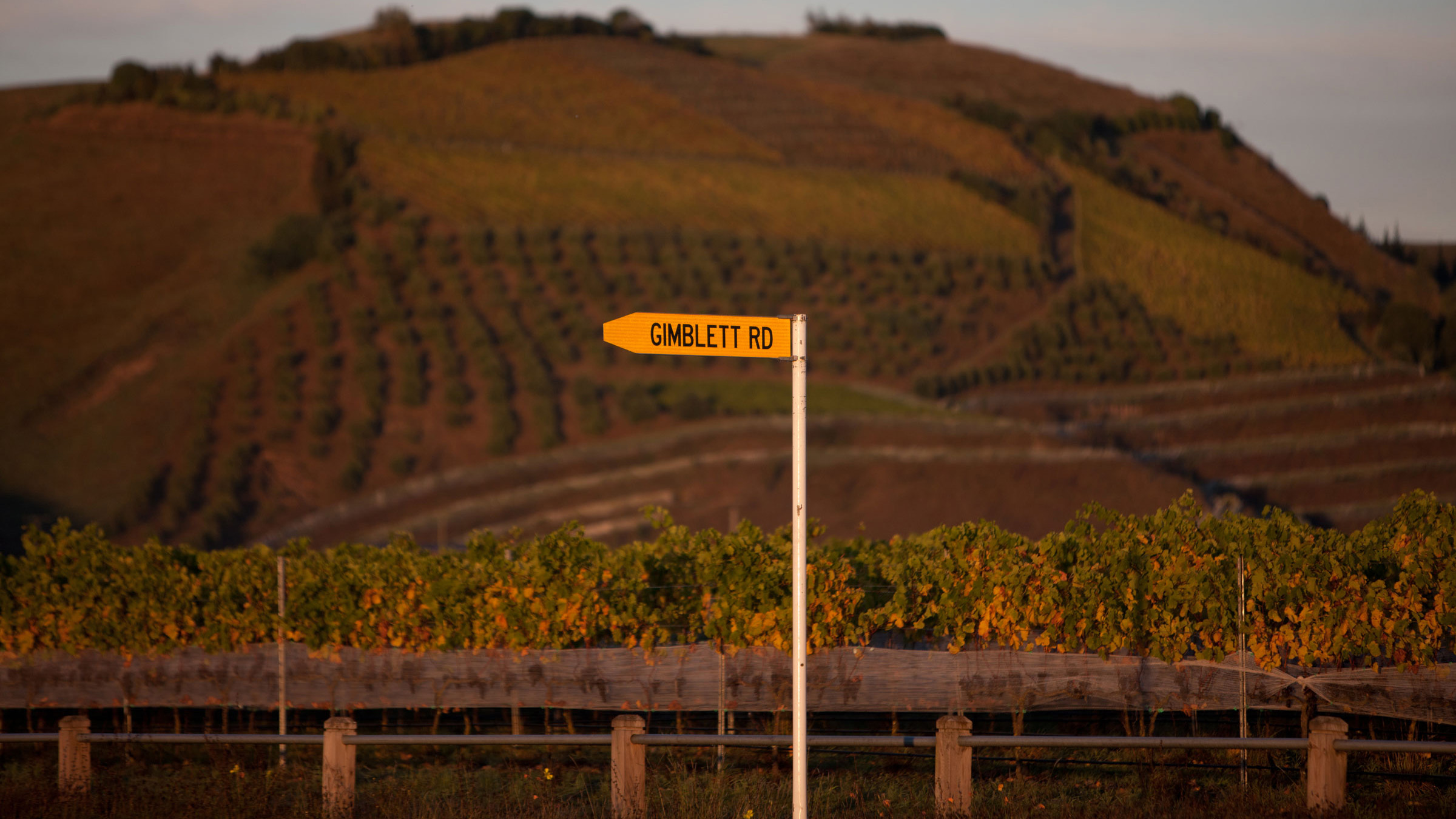 Taste the Stones: The 2022 Gimblett Gravels Vintage Selection