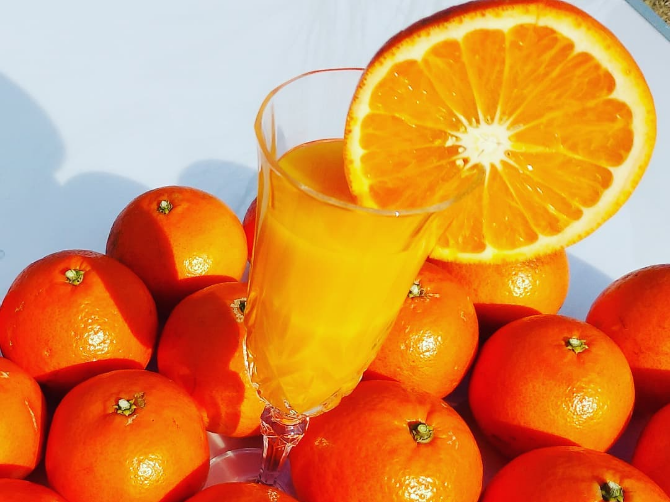 みかんの豆知識 | やすぎ観光みかん園