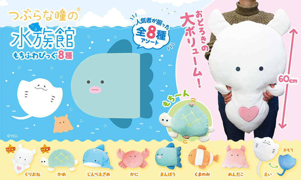 つぶらな瞳の水族館 | Yell World｜エールワールド