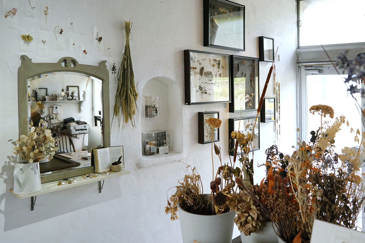 植物標本が美しい『エレー』 – Botanical specimen “errer” | 物語を