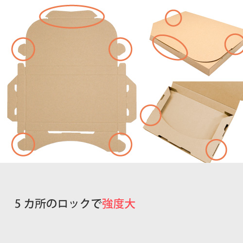 ZAP 差込み式メール便ケース ネコポス ゆうパケットA4サイズ 【厚み