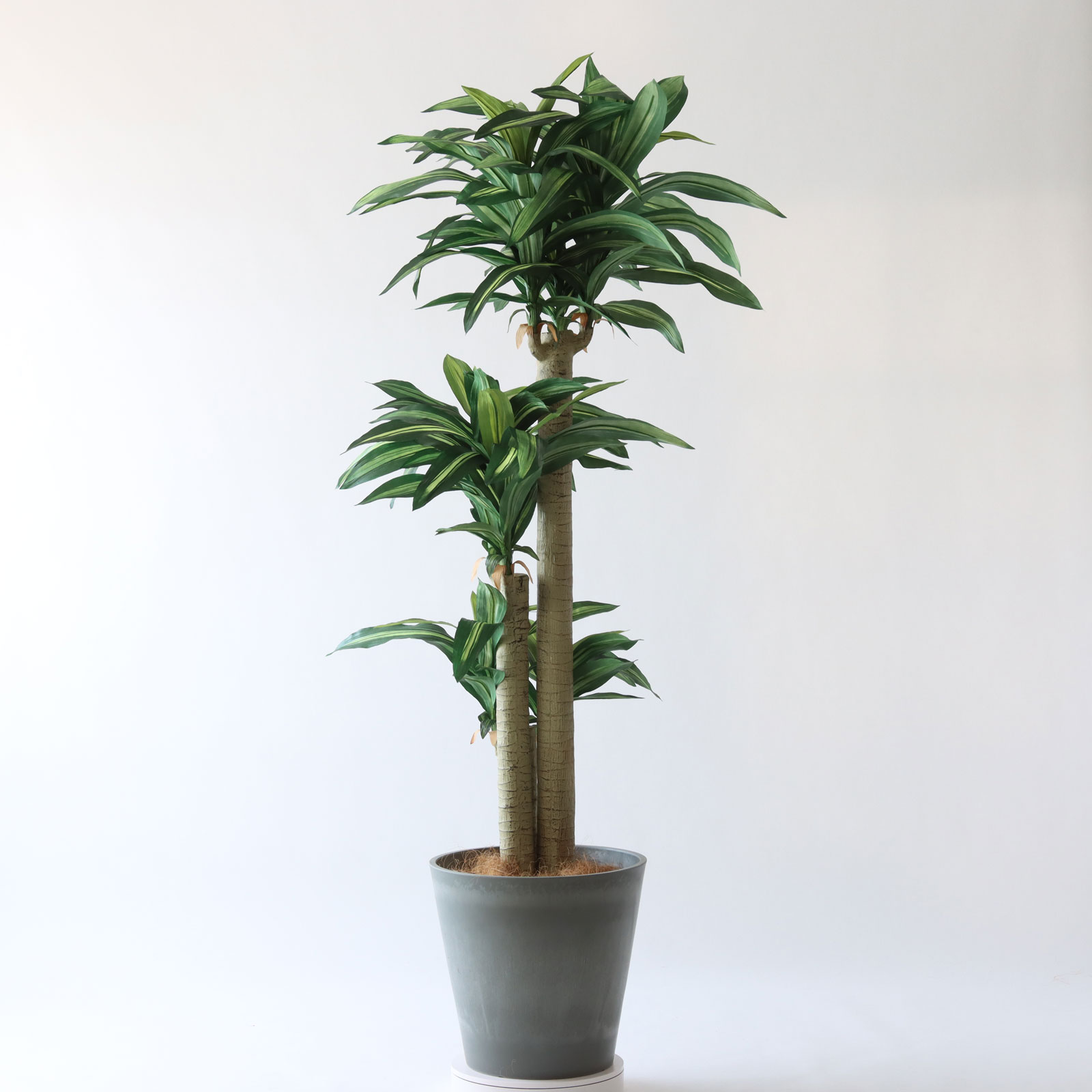 No8123 プレミアム光触媒フェイクグリーン 「爽やかな葉色 × 安定感