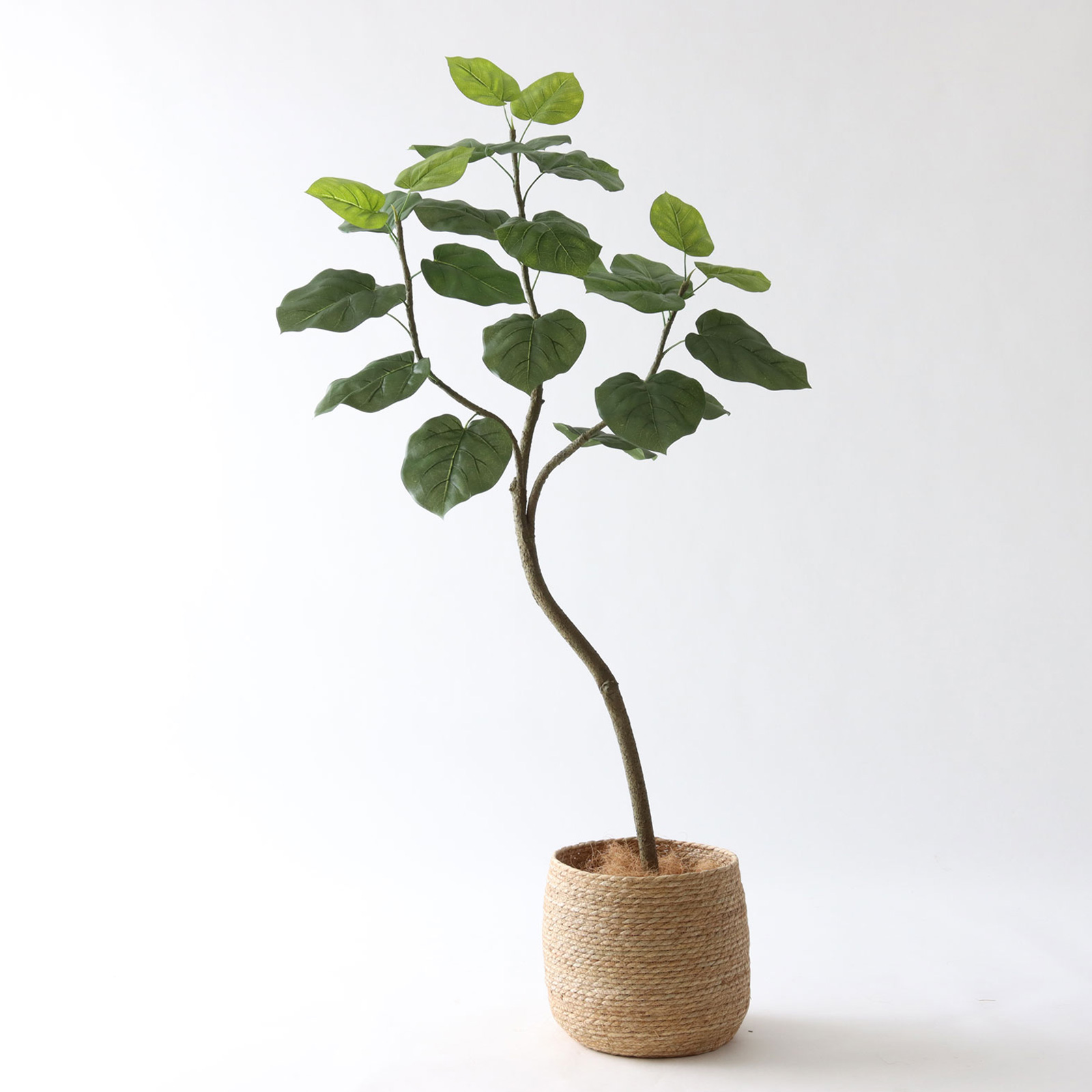 No9266 プレミアム光触媒フェイクグリーン「幹を曲げて、フォルムが