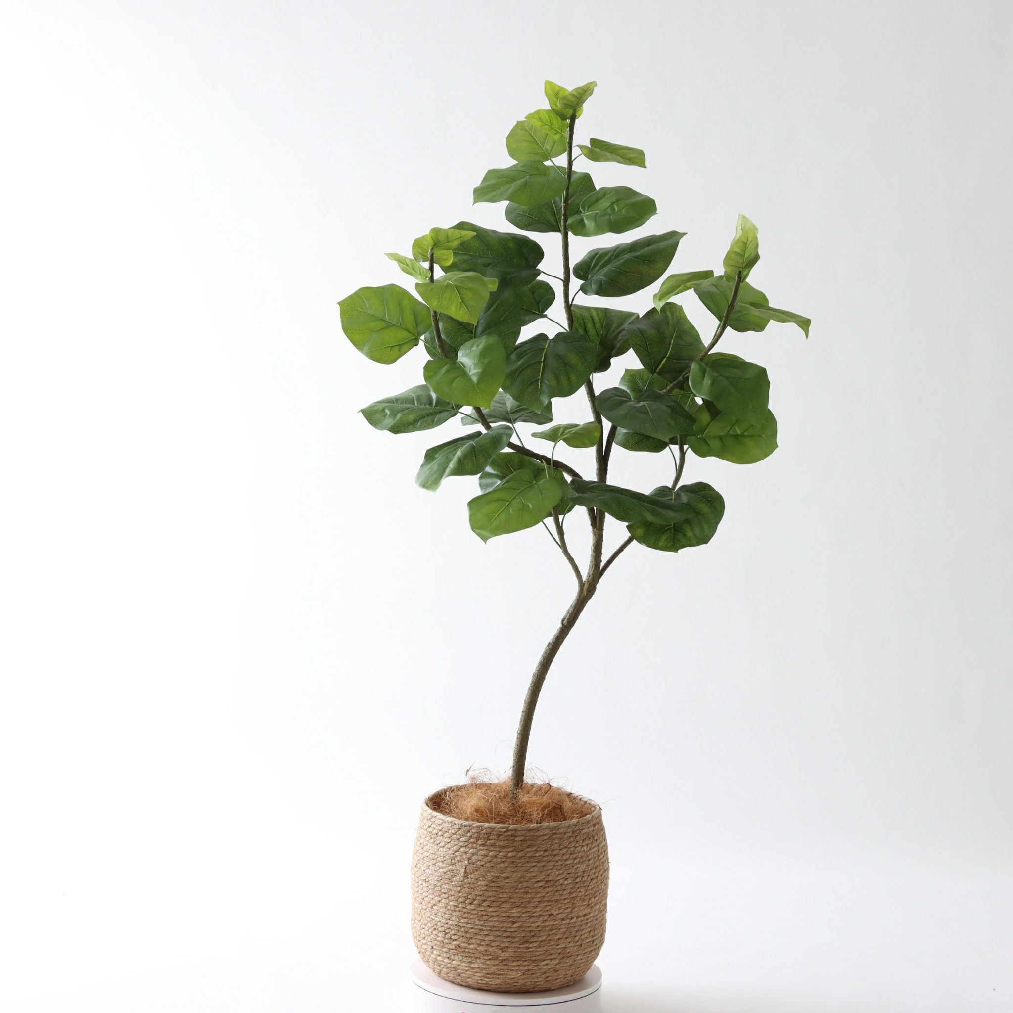 No9283 プレミアム光触媒フェイクグリーン 「柔らかな葉 × バランスの