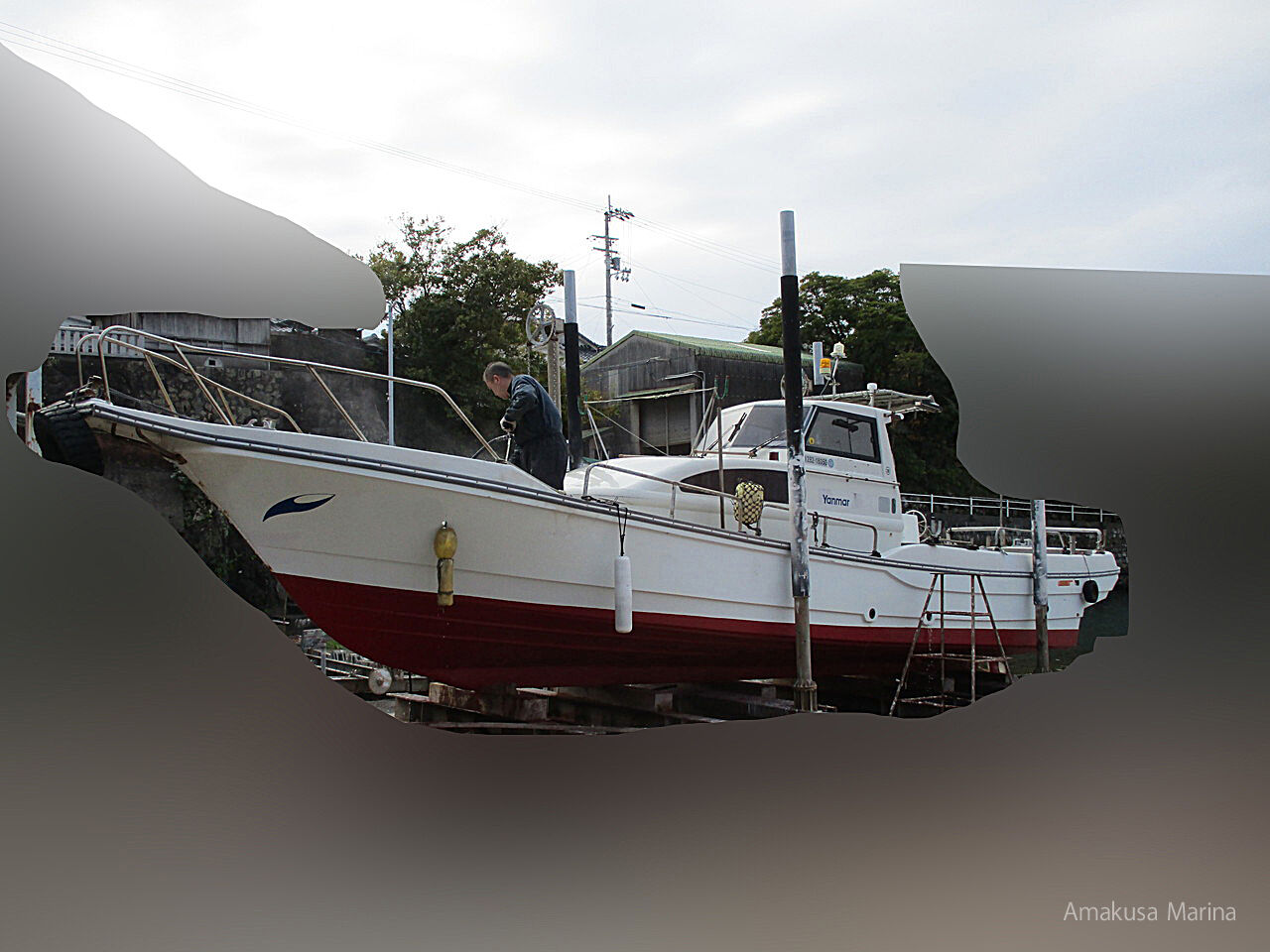 ヤンマー ZG35AP(高知県) | 株式会社あまくさマリーナ