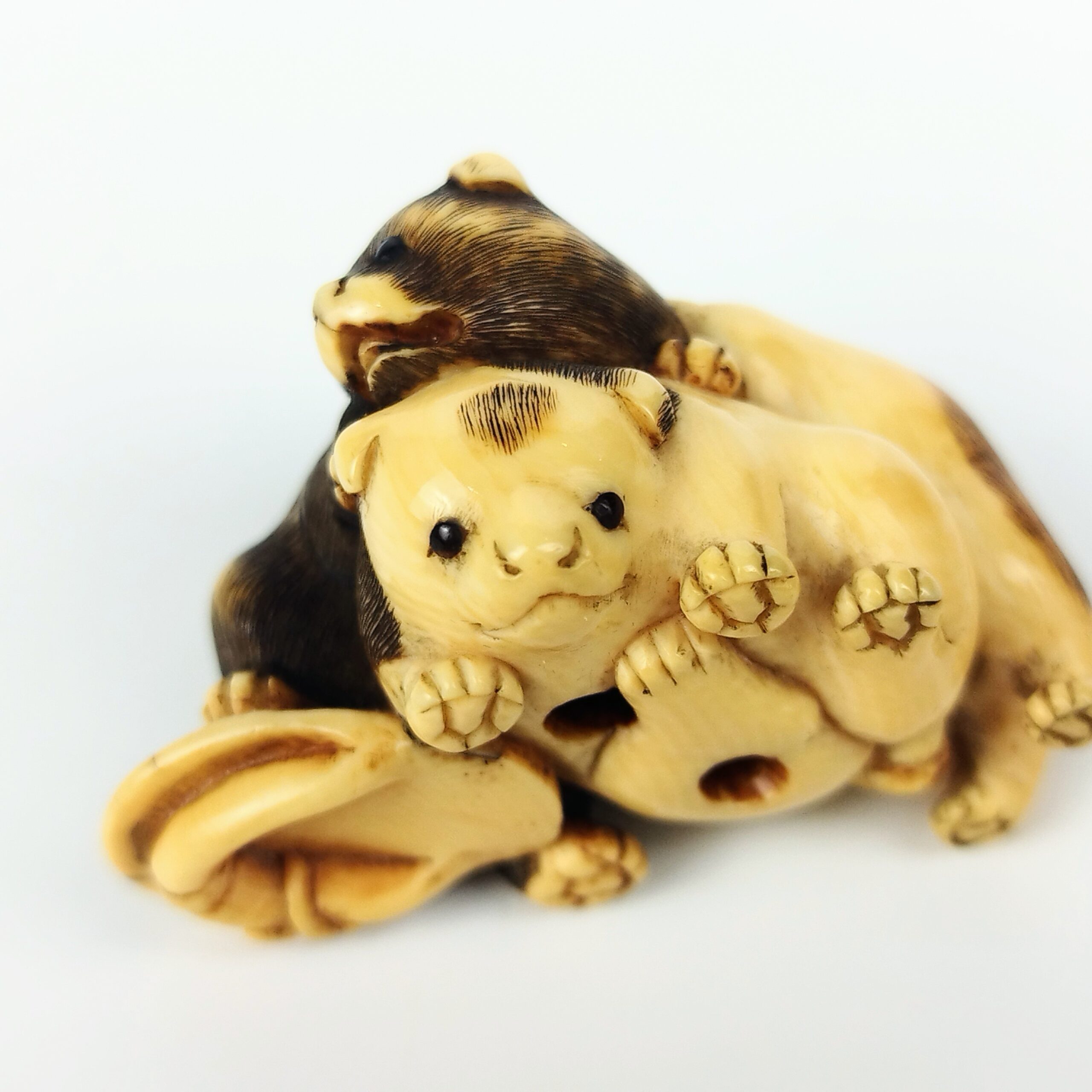 牙彫り根付 犬 – 古美術西川