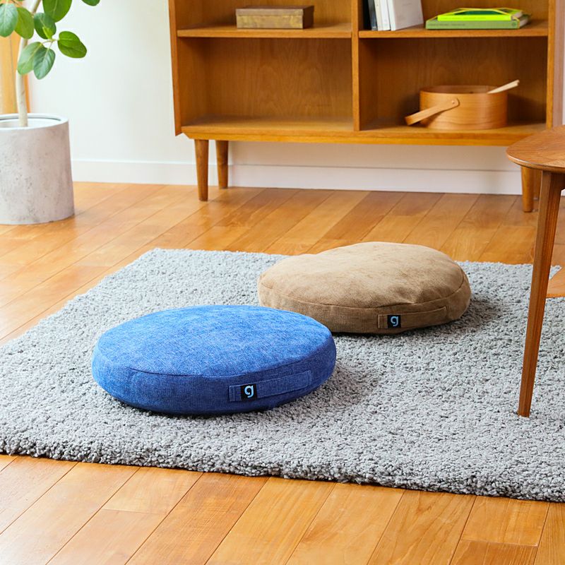 シェイプディスク gymterior(ジムテリア) | amepla