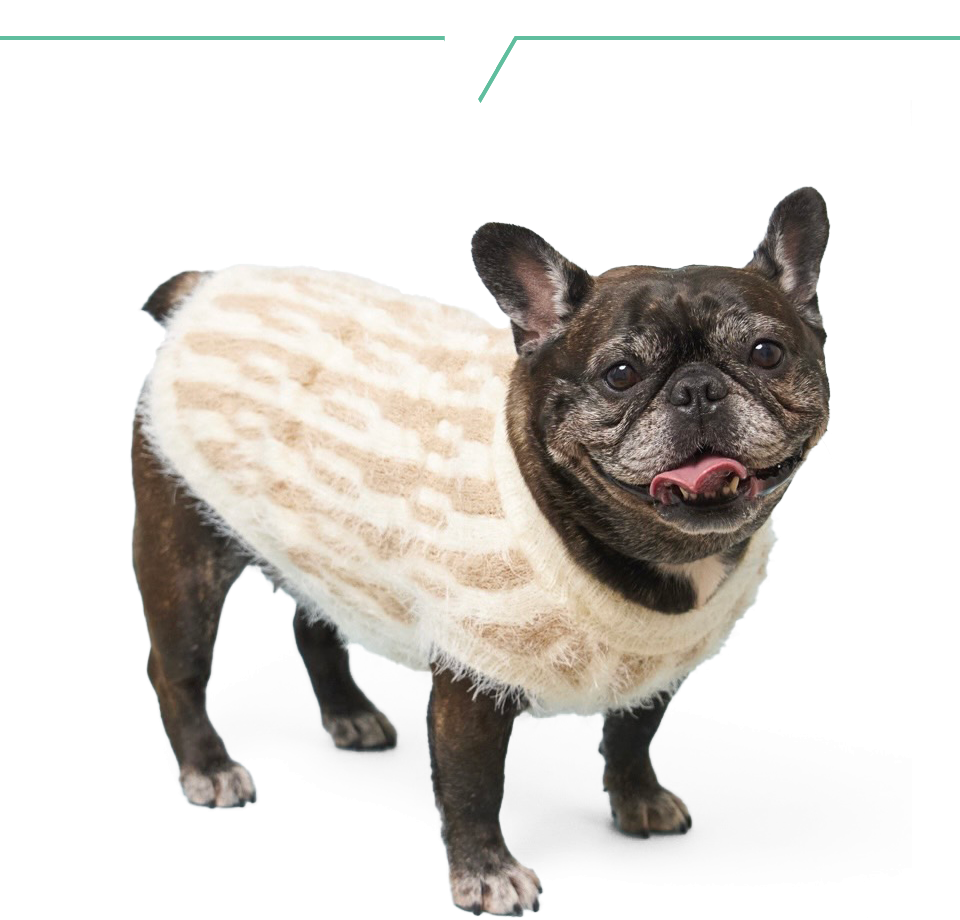 9/15(月祝)飛行船シアターにて開催「高尾奏音Birthdayparty2025 with