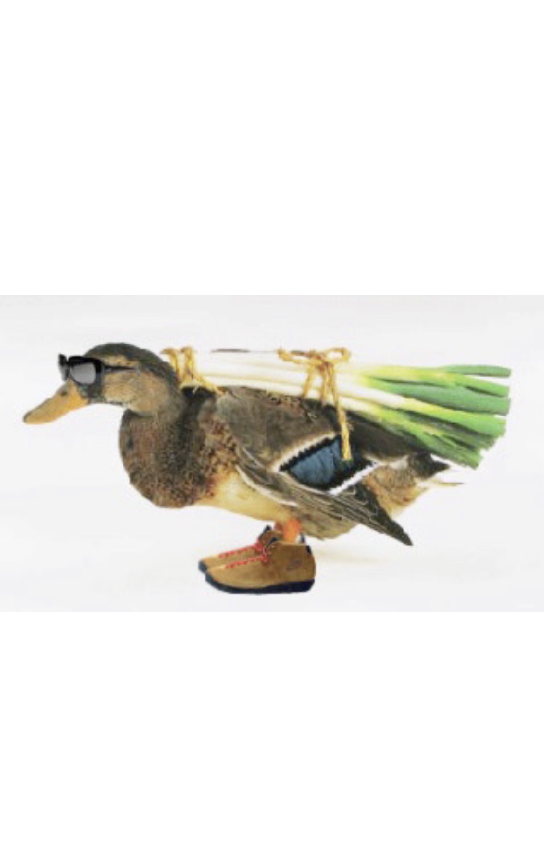 劇場版 X-エックス-の声優・音楽・評価をチェック！アニメ最新情報満載