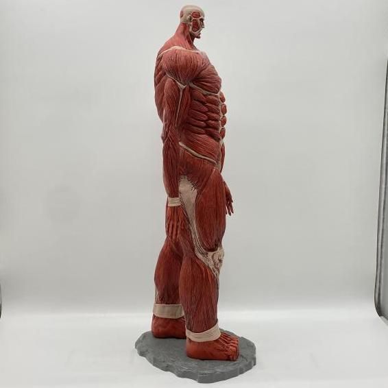 中古】開封）ラストワン賞 超大型巨人 MEGAIMPACT ｢一番くじ 進撃の