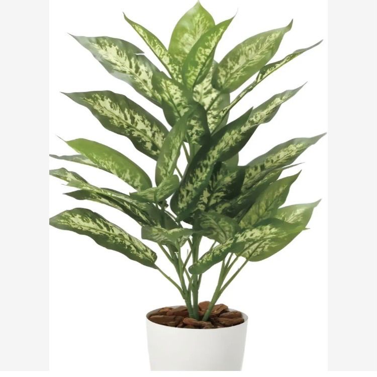 光触媒 人工観葉植物 ウォールグリーン フェイクグリーン カポック8321