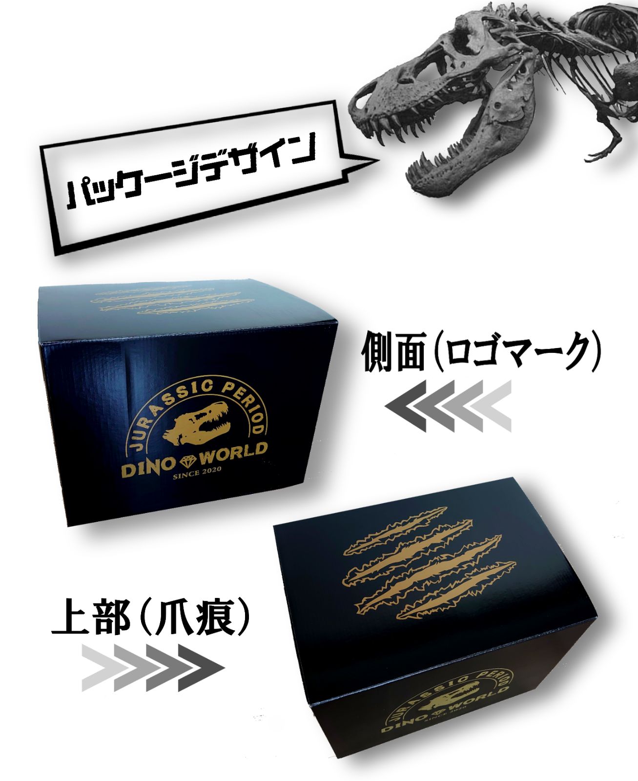 DinoWorld 】 トリケラトプス 頭骨 恐竜の化石 インテリアオブジェ