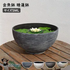 2026年最新】睡蓮鉢 大型の人気アイテム - メルカリ