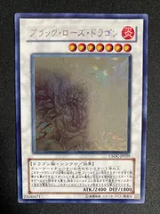 2026年最新】レリーフ ブラックローズドラゴンの人気アイテム - メルカリ