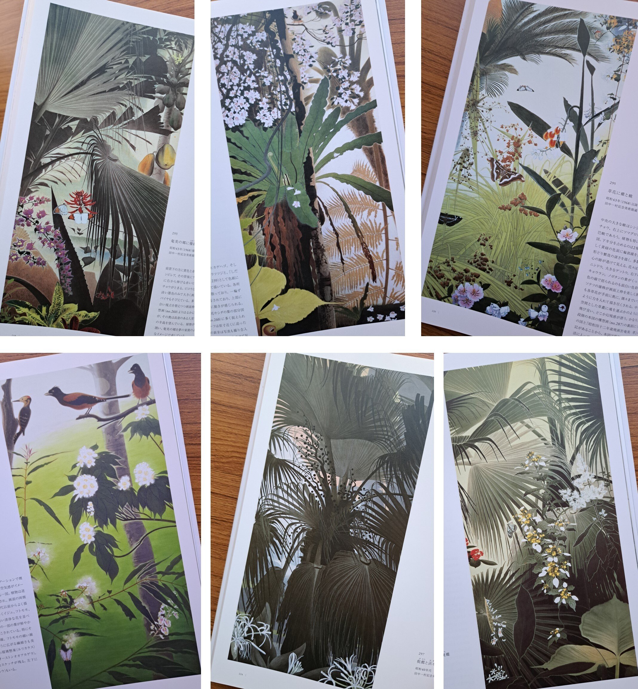 田中一村展」その2：「青い空」と「白い雲」、そして奄美の空と雲を