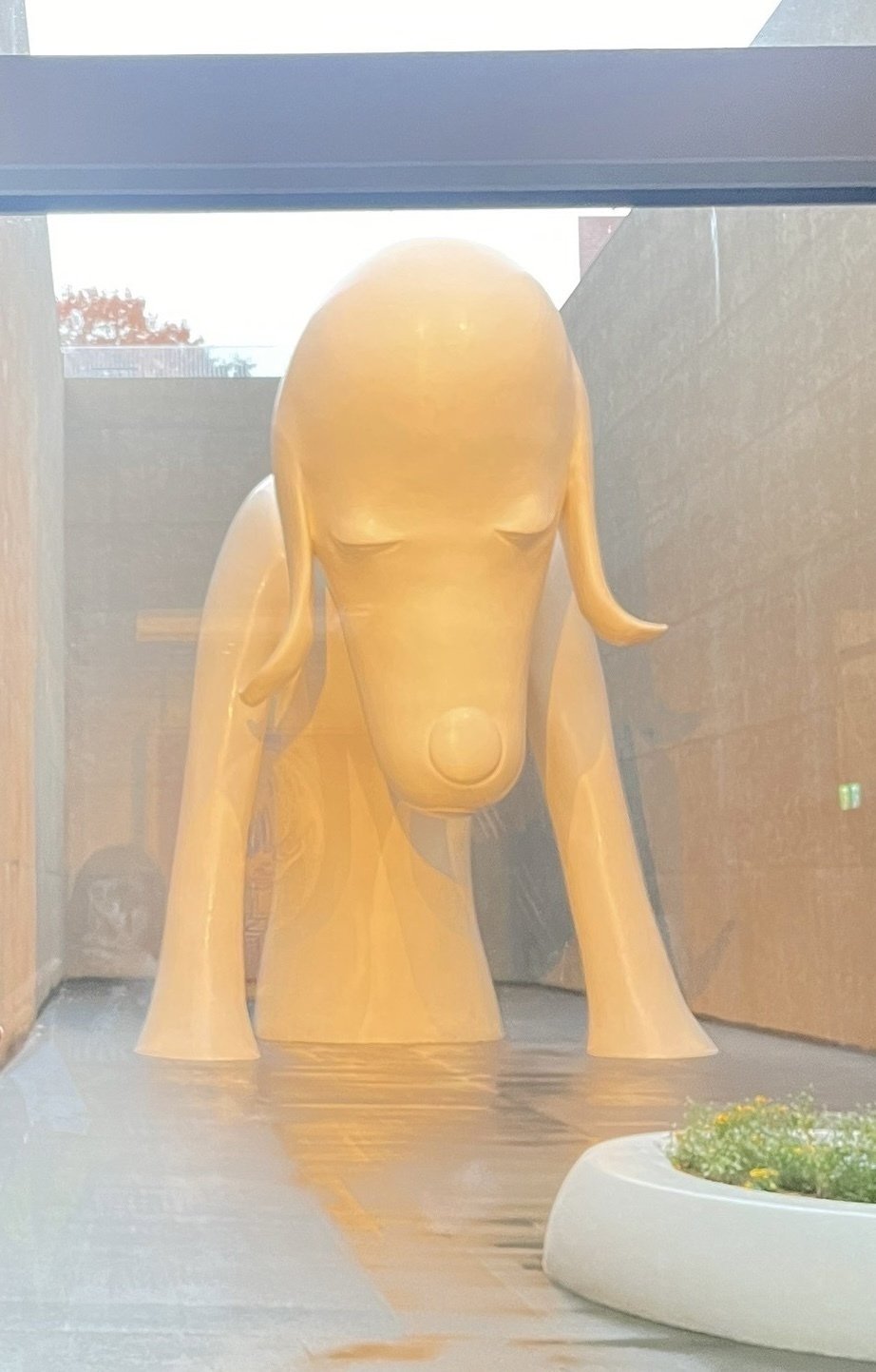 奈良美智の作品を地元・青森で堪能する｜多摩美術大学芸術学科