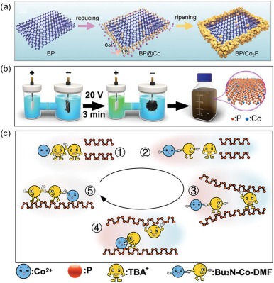Recent advances in intrinsic reactivity modulation of black