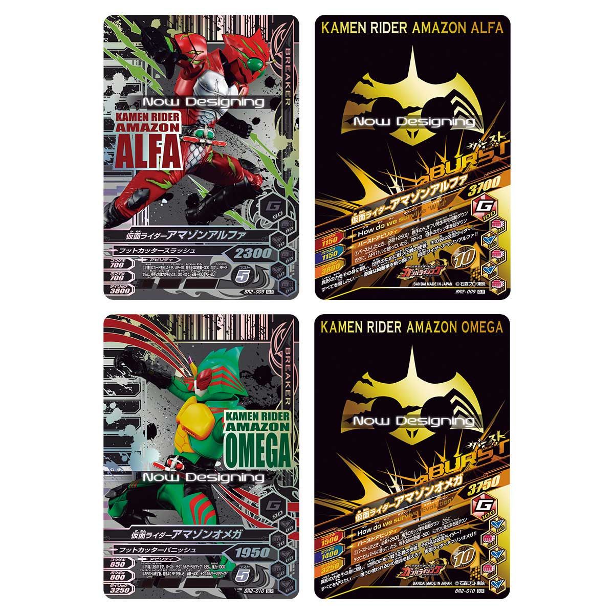 抽選販売】仮面ライダーバトル ガンバライジング 10thアニバーサリー 9