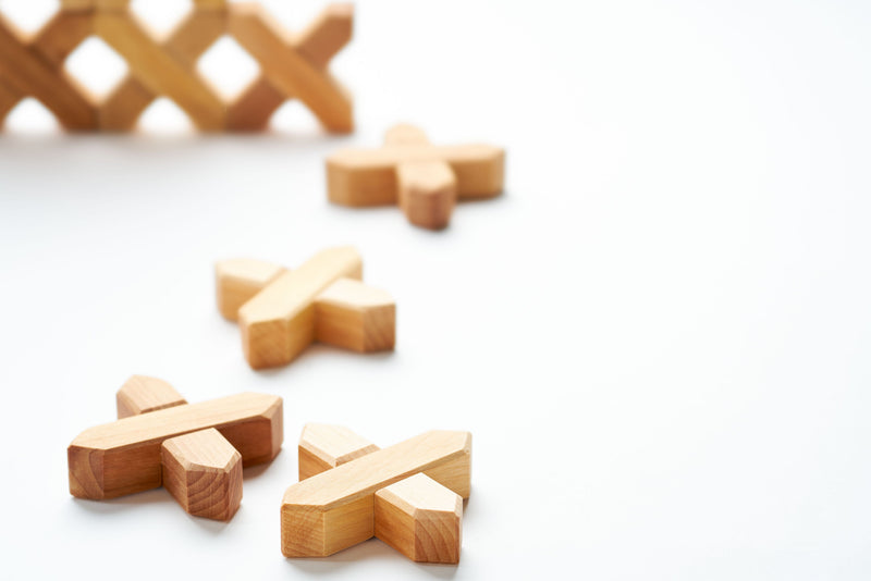 Xブロック48PCS【Bauspiel Japan】