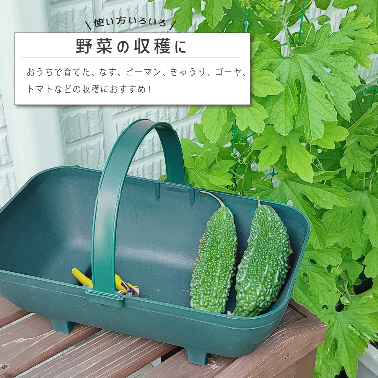 英国 Garland ガーランド ガーデントラッグ プラスチック 持ちやすい