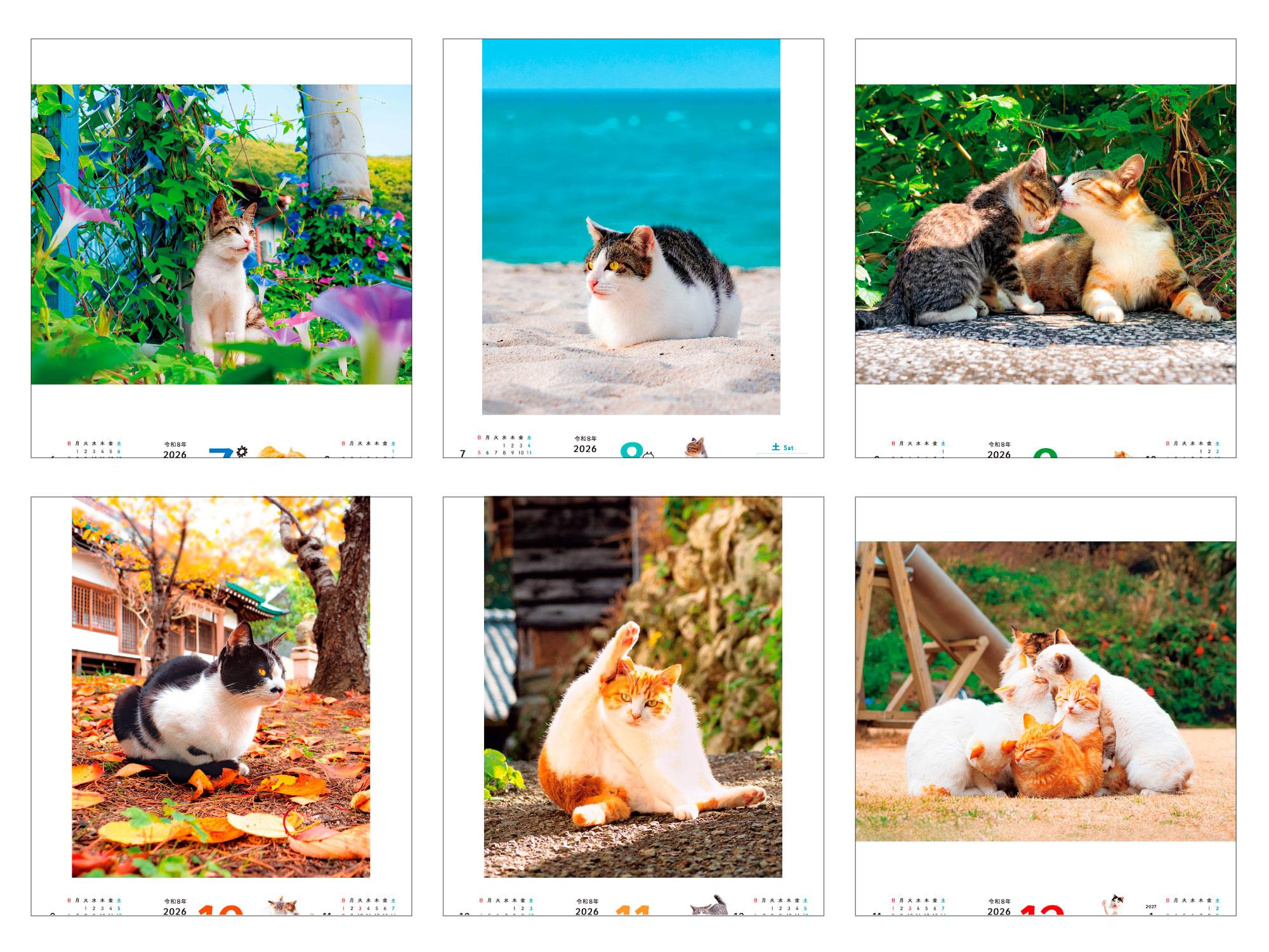 のんびり島にゃんCALENDAR 2026 - インプレスブックス