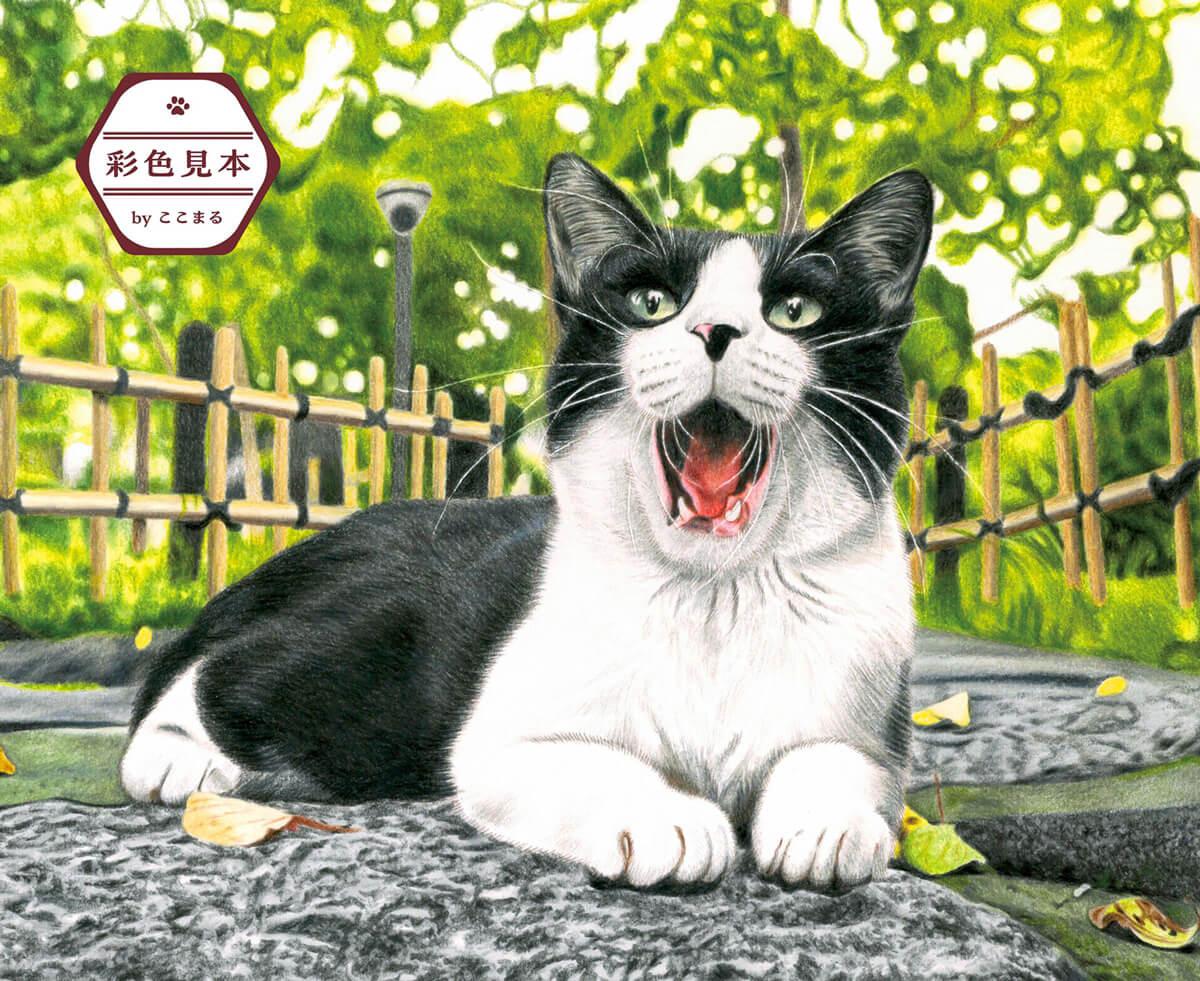 こだわり塗り絵シリーズ そとねこ Masayuki Oki's the Free-roaming