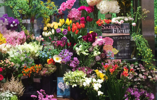 日比谷花壇 日本橋高島屋店 | 中央区（日本橋）の花屋 - ボタニーク