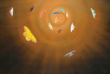 速水御舟「昆虫二題」 | 足立区綾瀬美術館 annex